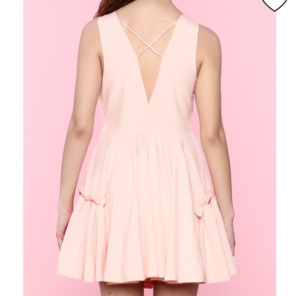 Essue Pink Sleeveless Deep V Mini Dress | Medium - Picture 3 of 9
